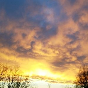 Meet your Posher, Savana